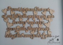 20140619_135155.11