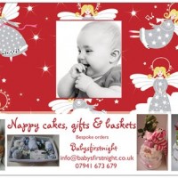 Babysfirstnight-logo