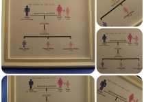 The-story-of-our-life