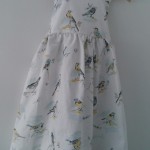 birds-2-3