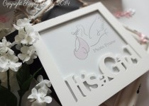 iag_frame