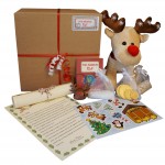 light-reindeer-main-big