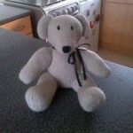 teddy