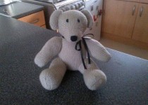 teddy