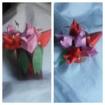 tulips-in-red-rose