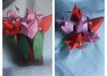 tulips-in-red-rose
