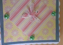 IMAG0238