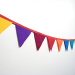 MiniBunting2