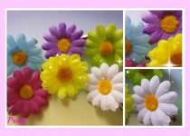 PicMonkey-Collage12