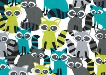 Ricky-Racoon-Lagoon