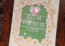 bloom