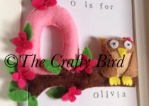 owlpic