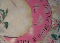 pink-moon