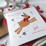 rudolph_son_2013