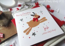rudolph_son_2013