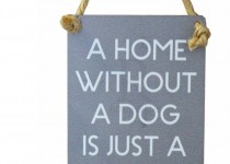 Metal-home-without-a-dog