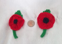 poppies-royal-legion