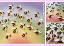 PicMonkey-Collage