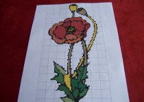 Scattering-Seeds-2