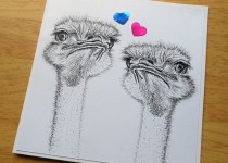 ostrich-card