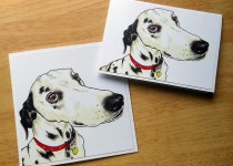 Dalmation-cards