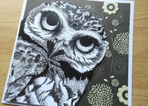 Owl-BG