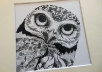 Owl-pen-ink