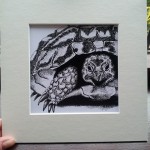 Tortoise-frame