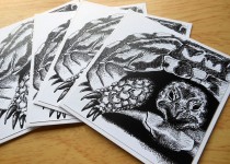 Tortoise-notecard-2