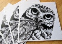 owl-notecard-2