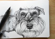 pensketch1