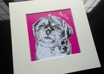 Belle-pen-and-col