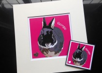 Georgie-bm