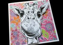 giraffe-col