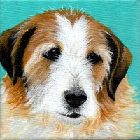 profile-pic-dog