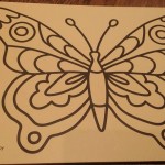 butterfly
