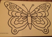 butterfly