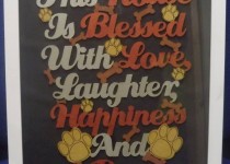 12348168_1091520834215792_858954826105700146_n