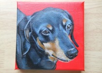 small-dog2