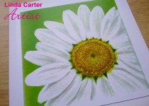 Daisy-card
