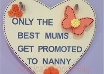 nanny-plaque