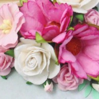 birthday-books-003