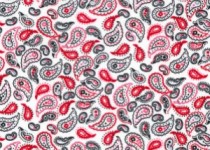 FillWyIzMDAiLCIzMDAiXQ-CP0293-RED