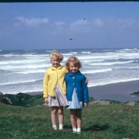 image4