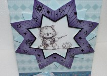 DSCF1327