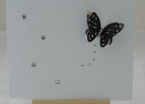 DSCF2073