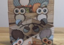 concertina-owl