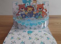 baby-boy-shelf
