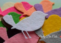 birds