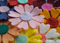 colouredd2